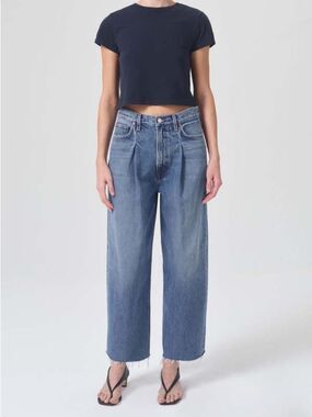 Agolde Dagna high rise pleated baggy pant in trap • Sz 27